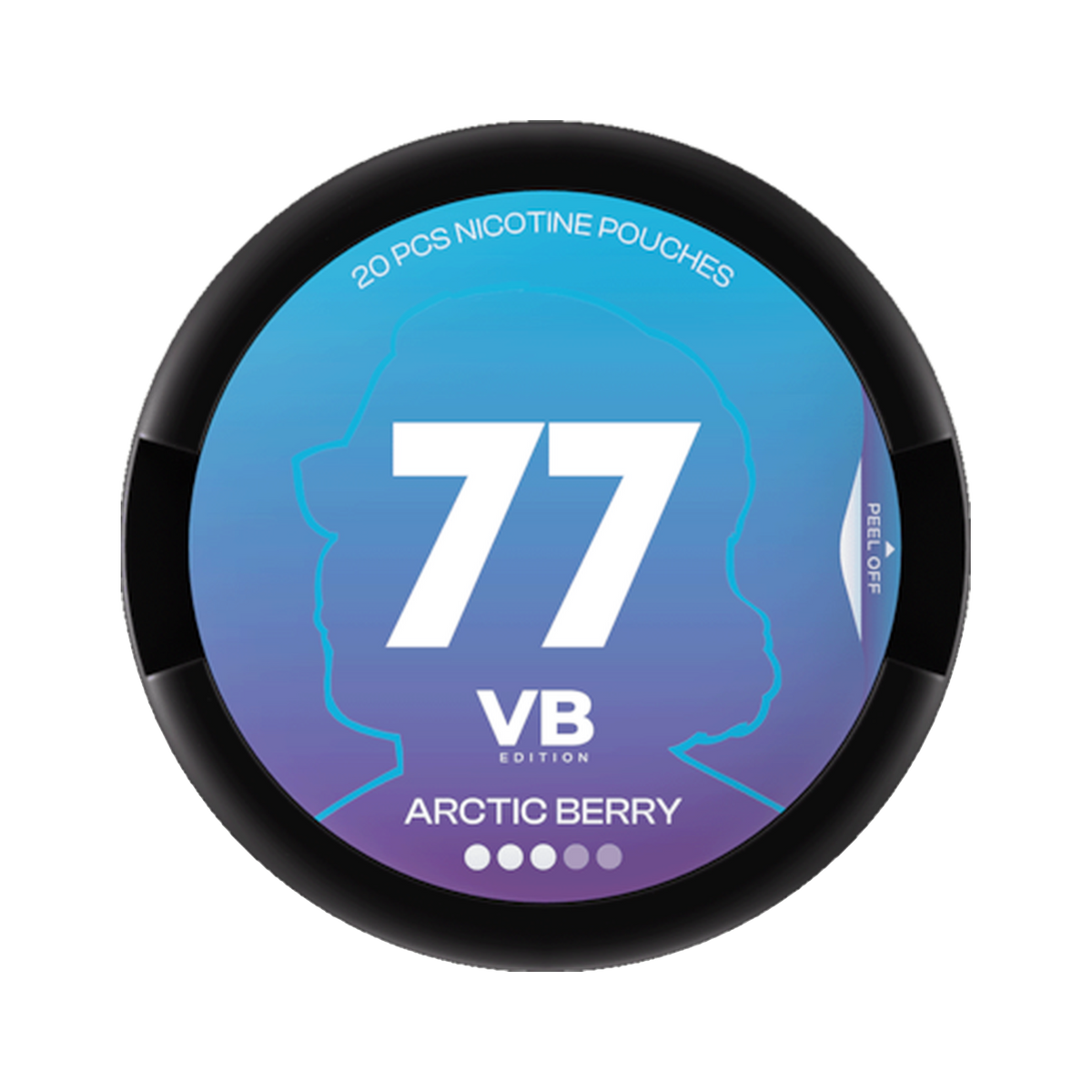 77 VB Arctic Berry Medium can, front