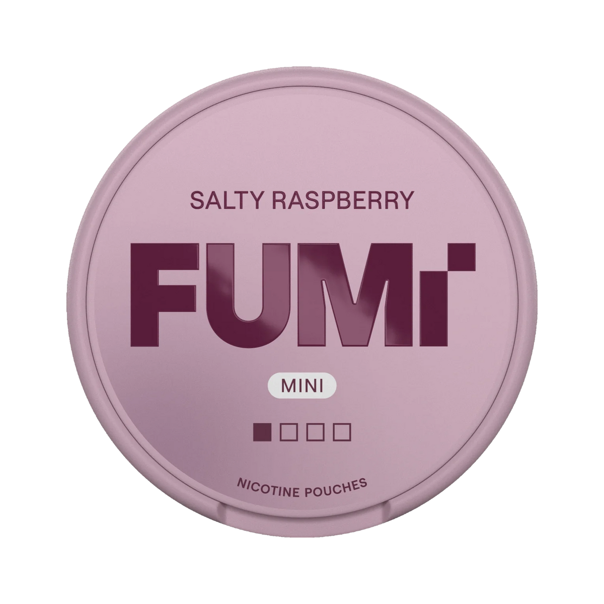 FUMI Salty Raspberry Mini can, front