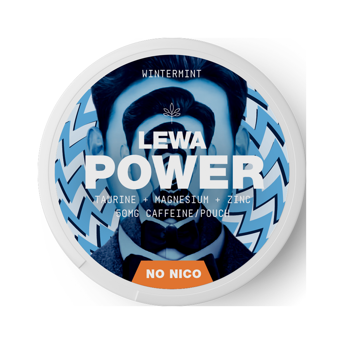 LEWA POWER Wintermint Caffeine, dosa