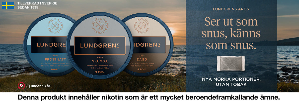 Lundgrens brand header