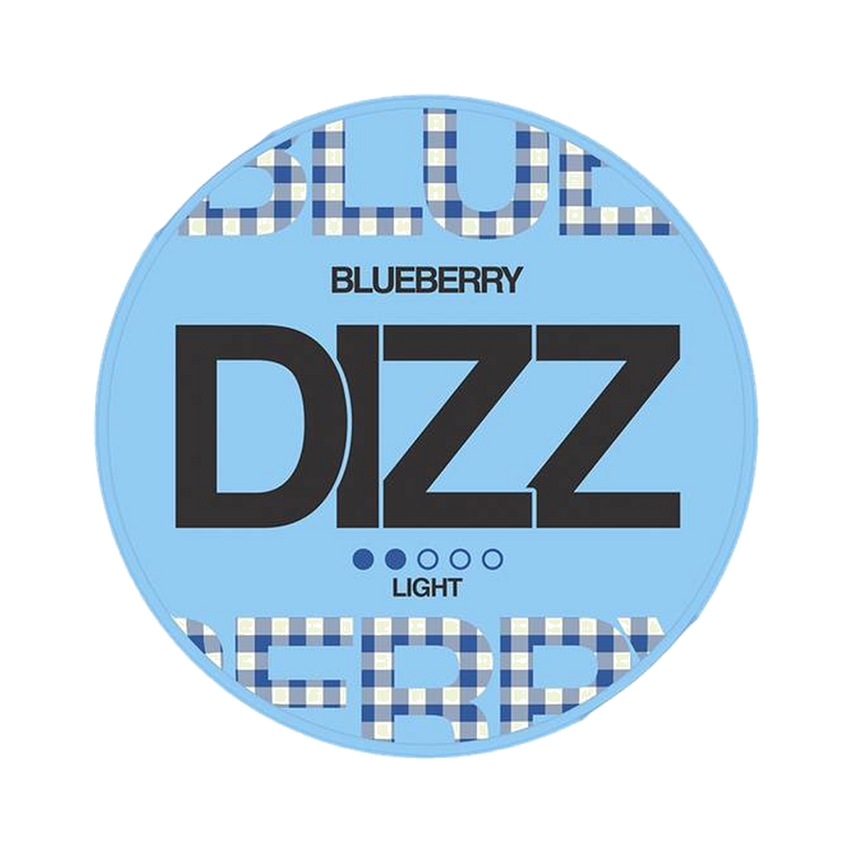DIZZ Blueberry Light can, front