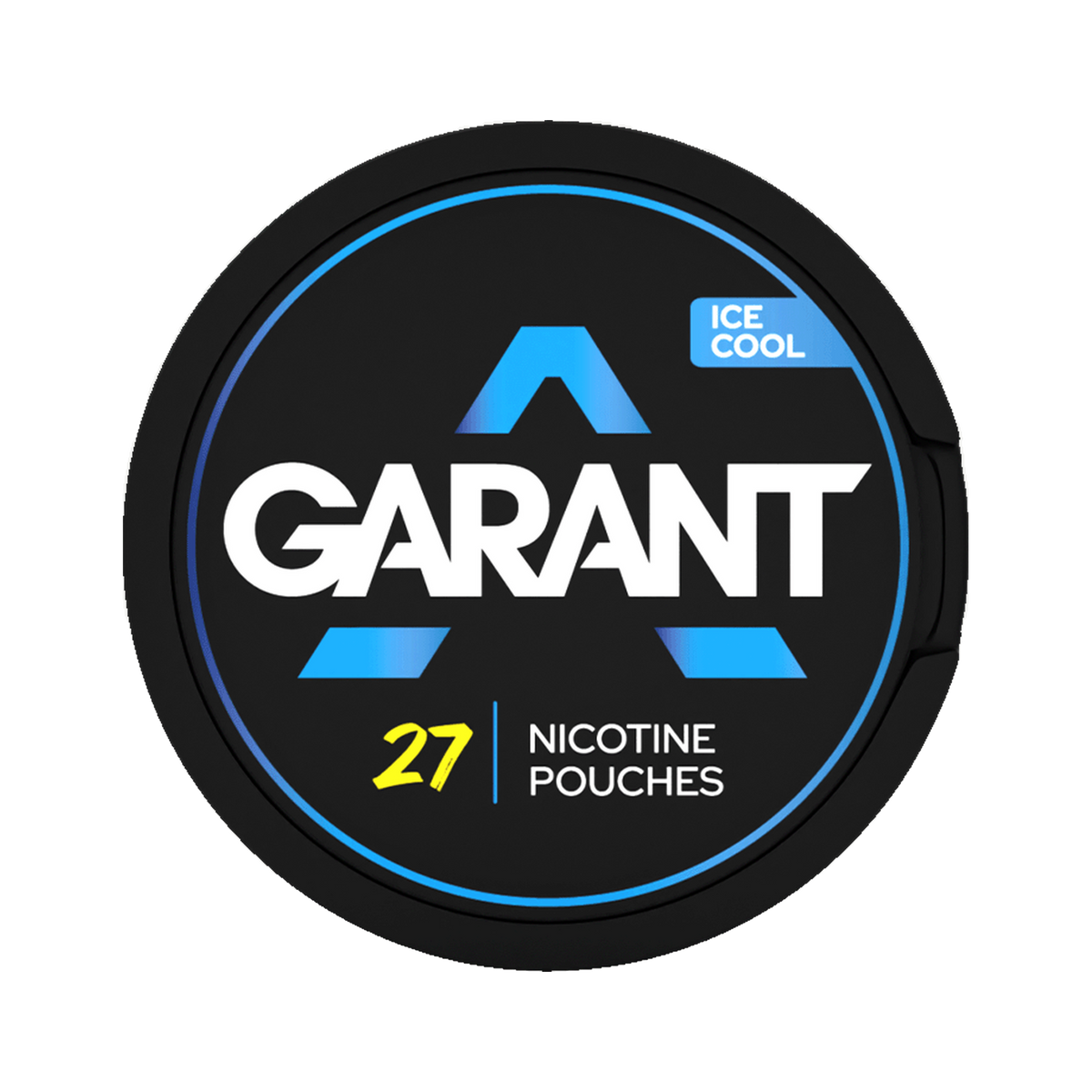 GARANT Ice Cool | Bäst före: 12/11/2026 can, front
