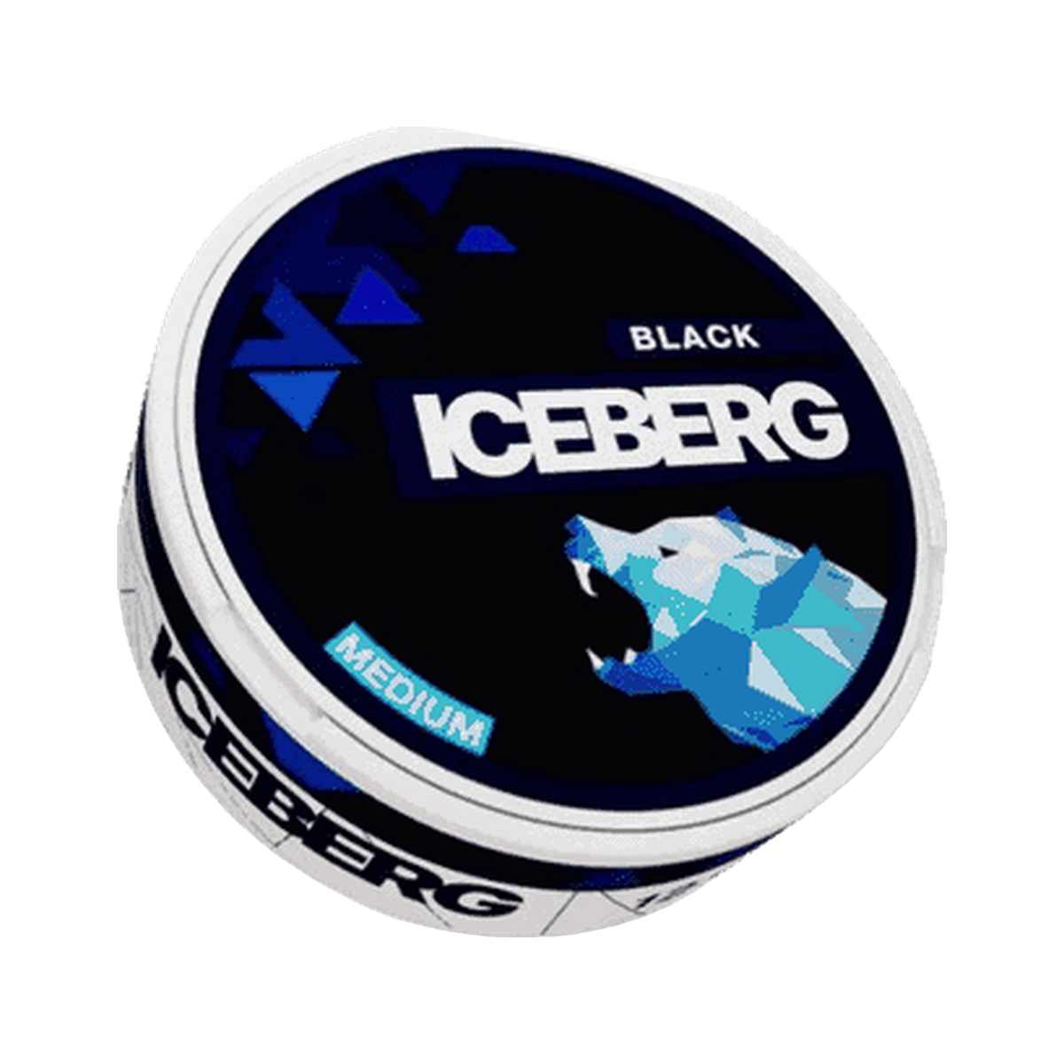 ICEBERG Black Medium (Outlet) can, front