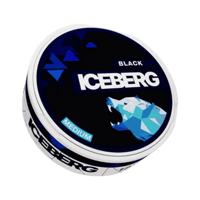 ICEBERG Black Medium (Outlet) can, front