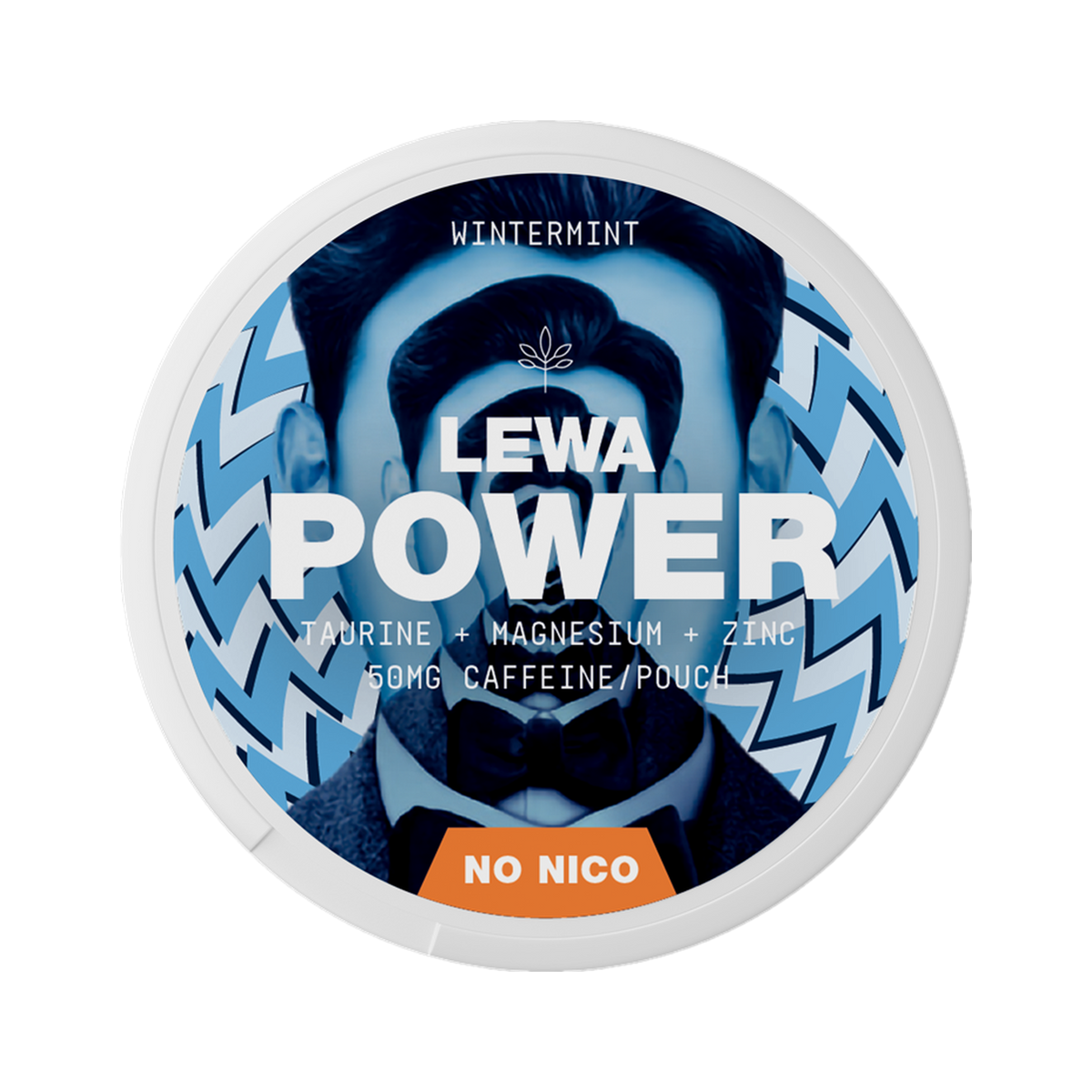 LEWA POWER Wintermint Caffeine can, front