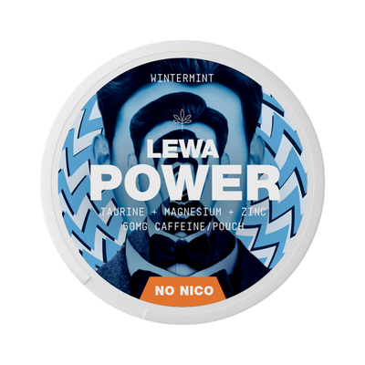 LEWA POWER Wintermint Caffeine can, front
