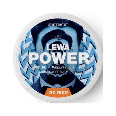 LEWA POWER Wintermint Caffeine, dosa