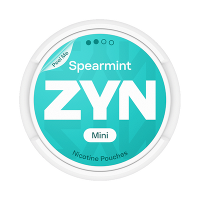 ZYN Spearmint Mini Dry Regular