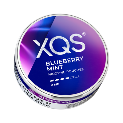 XQS Blueberry Mint 8mg can, low view