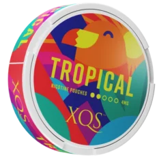 XQS Tropical Light