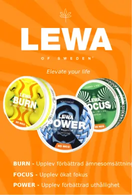 LEWA FUNCTIONAL POUCHES
