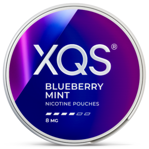 XQS Blueberry Mint Strong