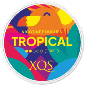 XQS Tropical Light